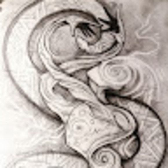 bodhikoyote